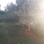 Hrga Apartament *