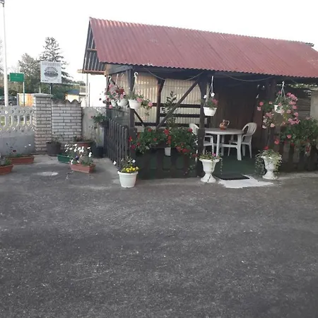 Hrga * Pola
